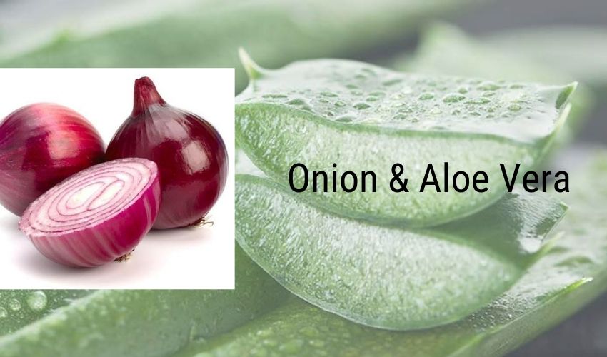 Aloe Vera & Onion Juice