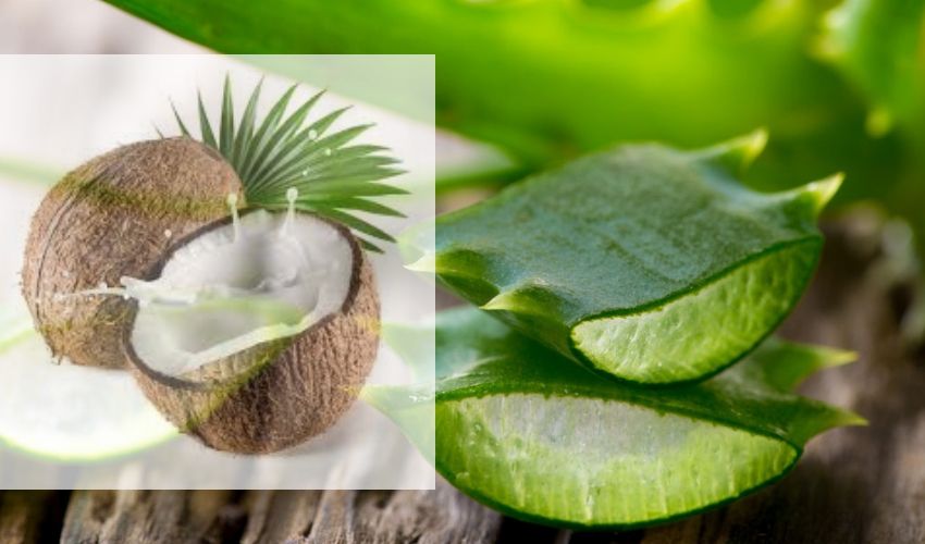 Aloe Vera & Coconut Milk