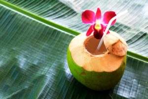 Why you should drink coconut water? Key Benefits You Must Know!