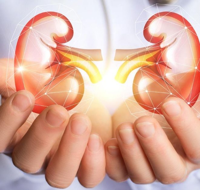 How To Keep Your Kidney Happy and Healthy? Amazing 10 Tips that you must know!